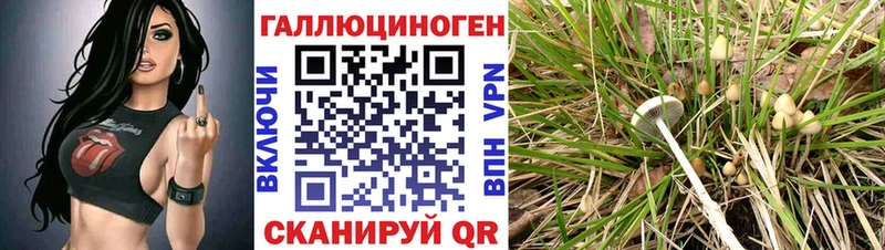OMG tor  Южа  Галлюциногенные грибы Magic Shrooms 