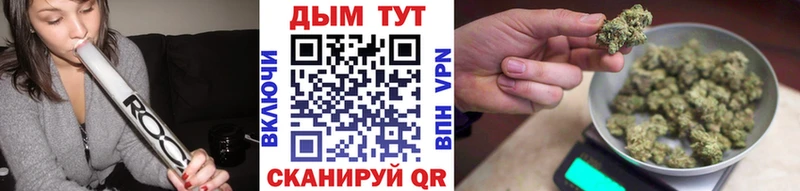 маркетплейс как зайти  Южа  Каннабис сатива 